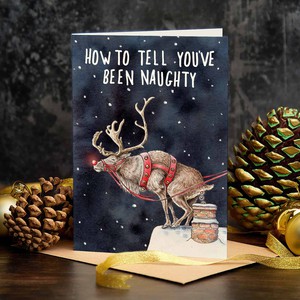 Wenskaart kerst "How to tell you've been naughty" from Fairy Positron