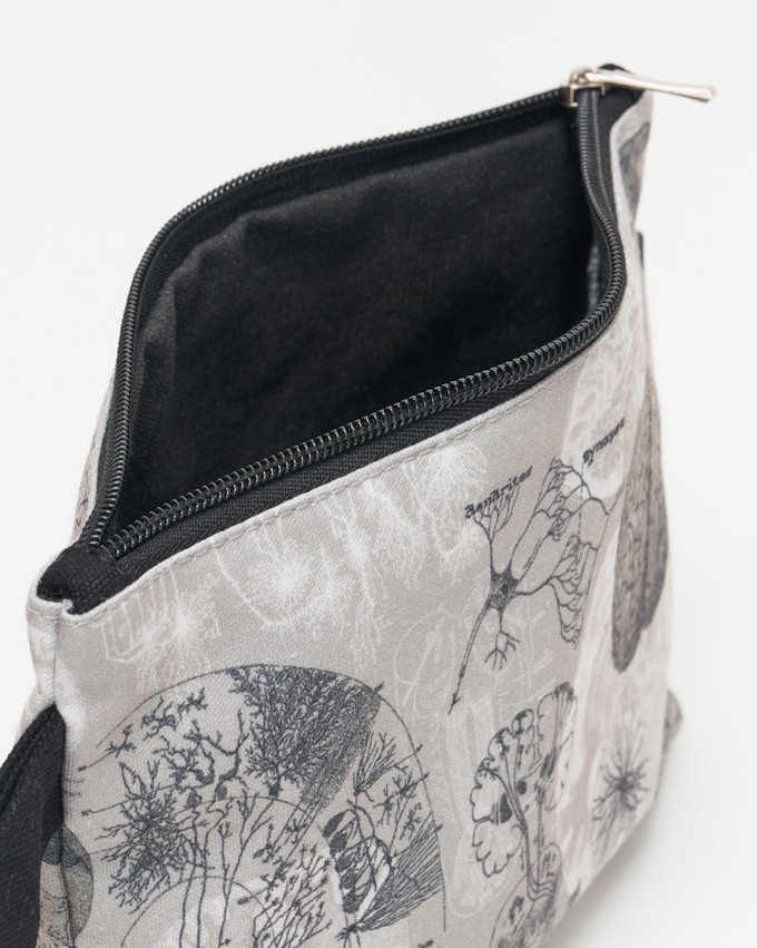 Etui anatomie van het brein from Fairy Positron