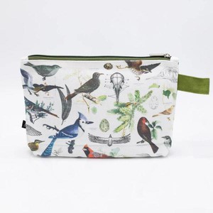 Etui ornithologie from Fairy Positron