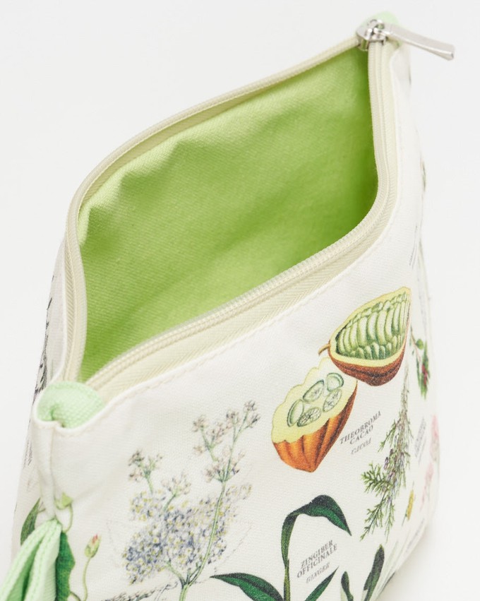 Etui Medicinal Botany from Fairy Positron