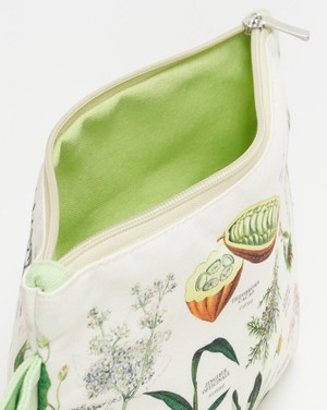 Etui Medicinal Botany from Fairy Positron
