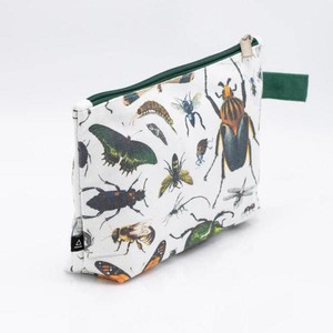 Etui insecten from Fairy Positron