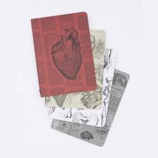 Set zaknotitieboekjes anatomie via Fairy Positron