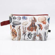 Etui anatomie via Fairy Positron