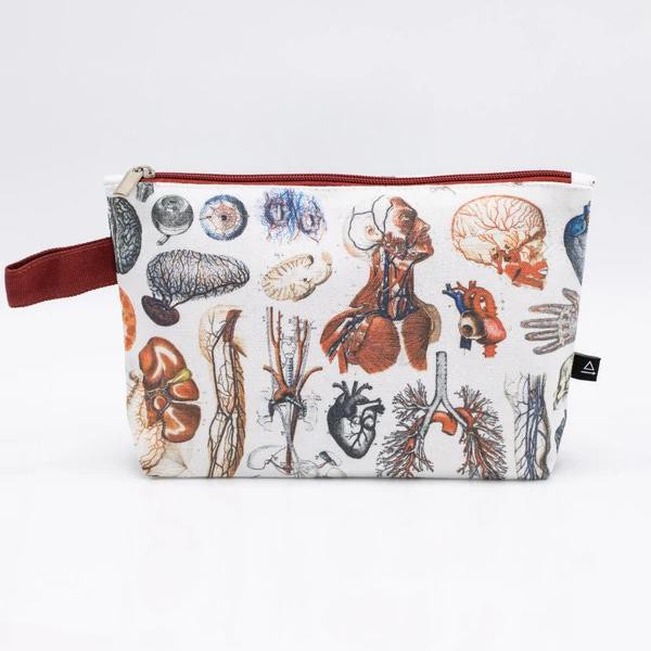 Etui anatomie from Fairy Positron