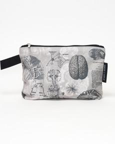 Etui anatomie van het brein via Fairy Positron