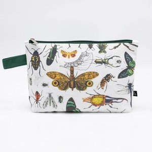 Etui insecten from Fairy Positron