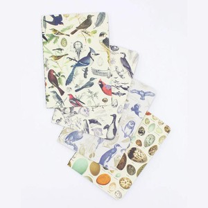 Set zaknotitieboekjes ornithologie from Fairy Positron