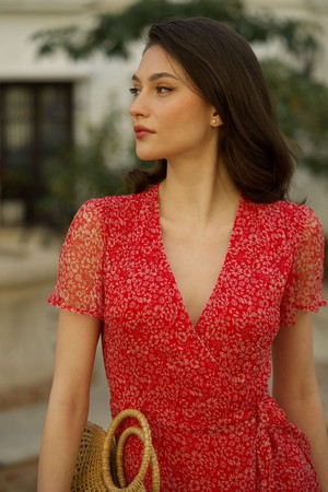 Arlette Silk Dress from GAÂLA