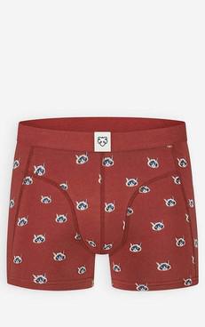 Boxer Catface via Het Faire Oosten
