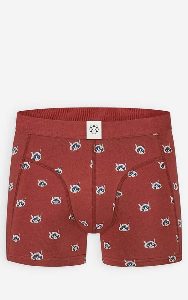 Boxer Catface from Het Faire Oosten
