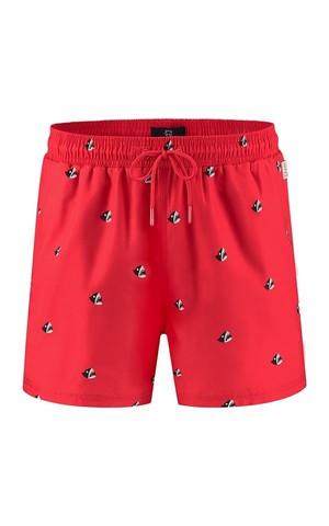 Swim Shorts Roy from Het Faire Oosten