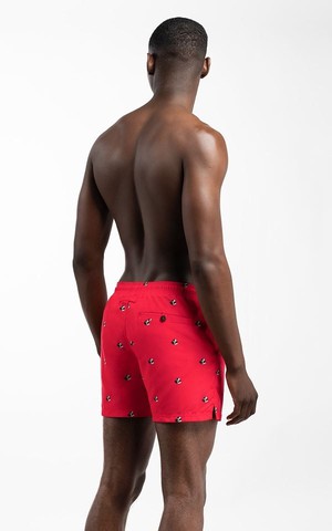 Swim Shorts Roy from Het Faire Oosten