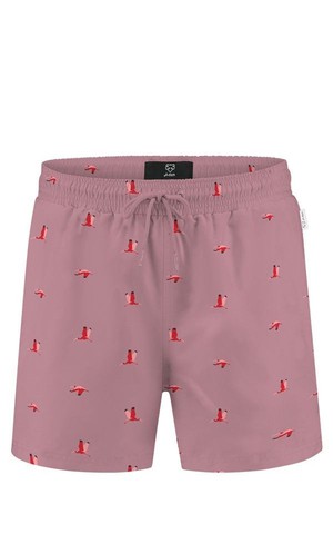 Swim Shorts Flying Birds from Het Faire Oosten