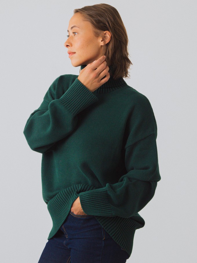 Chunky Turtleneck Women from Honest Basics