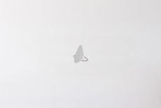 Serene Seashore ring | silver van Julia Otilia