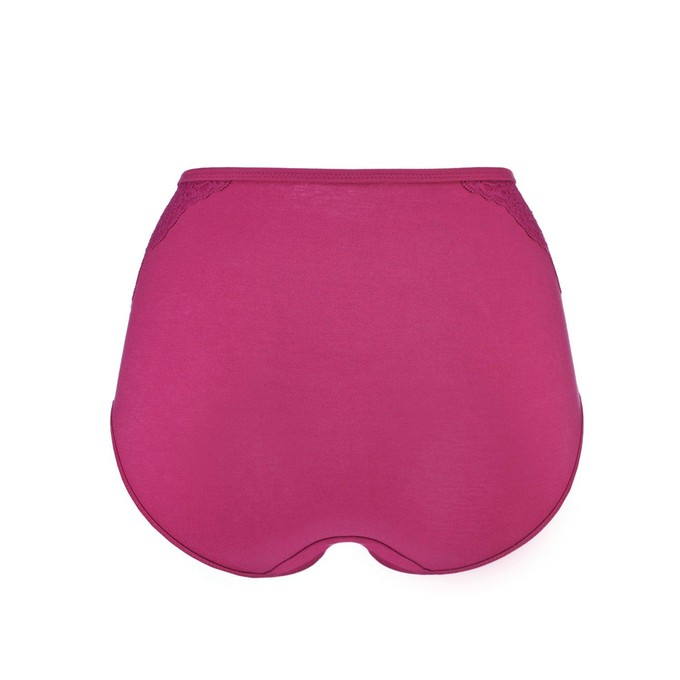 Fuchsia - High Waisted Silk & Organic Cotton Full Brief from JulieMay Lingerie