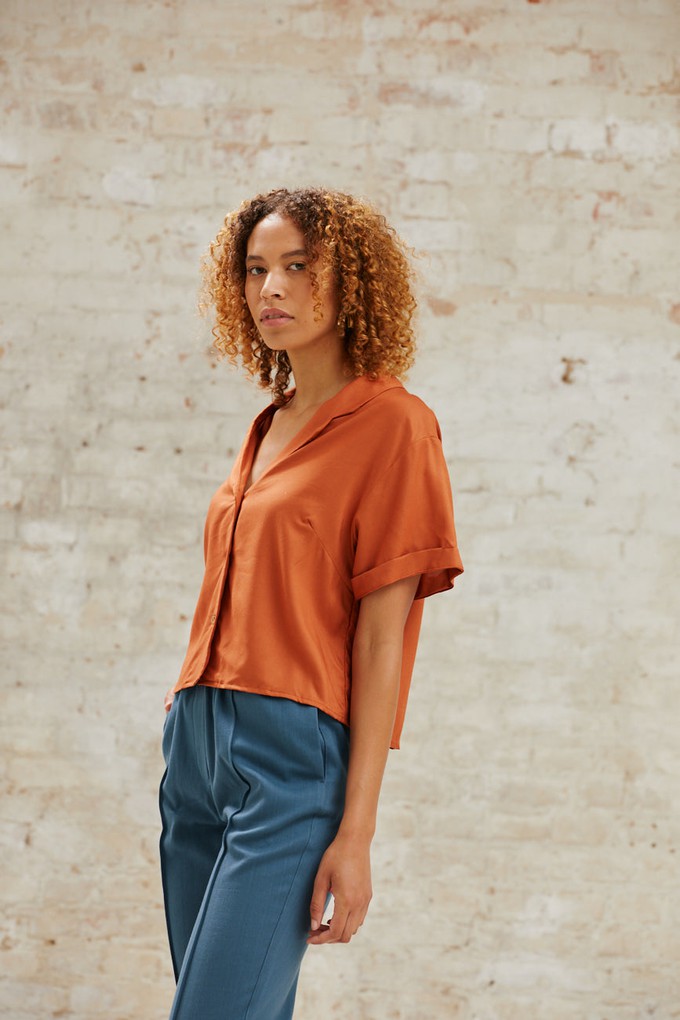 Ecovero blouse Avani Rust from Jyoti - Fair Works