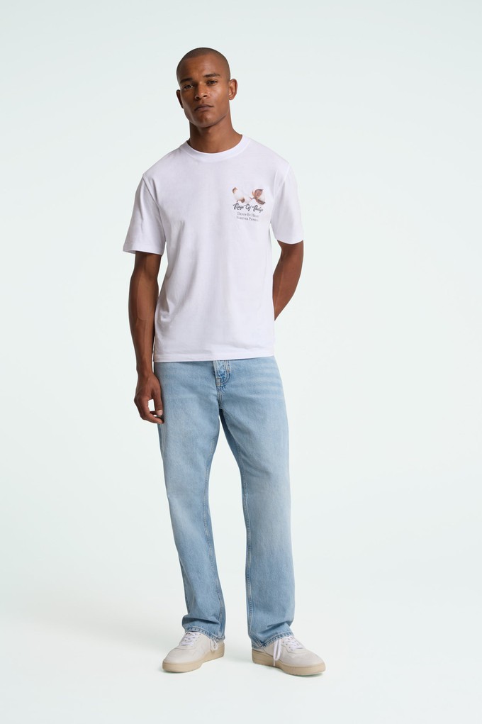 ROY | BLUE REEF LIGHT USED from Kings of Indigo