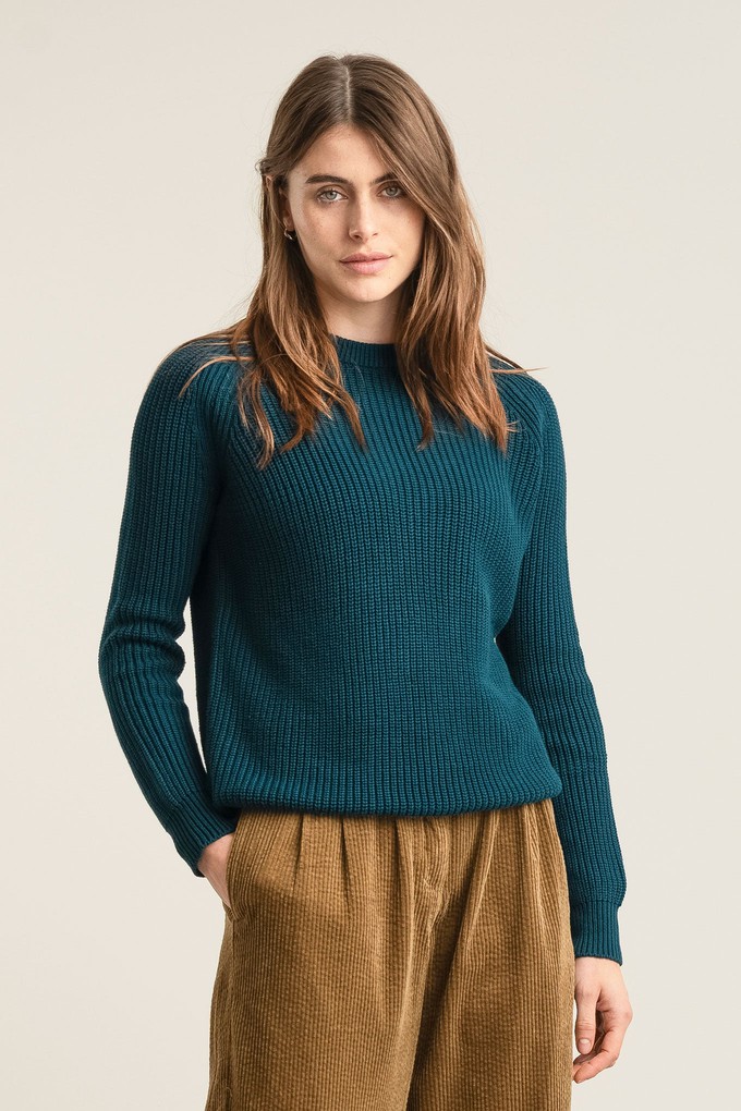 SERGIO - Womens Organic Cotton Jumper Teal from KOMODO