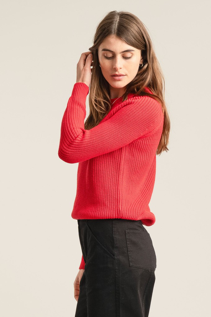 SERGIO - Womens Organic Cotton Jumper Red from KOMODO