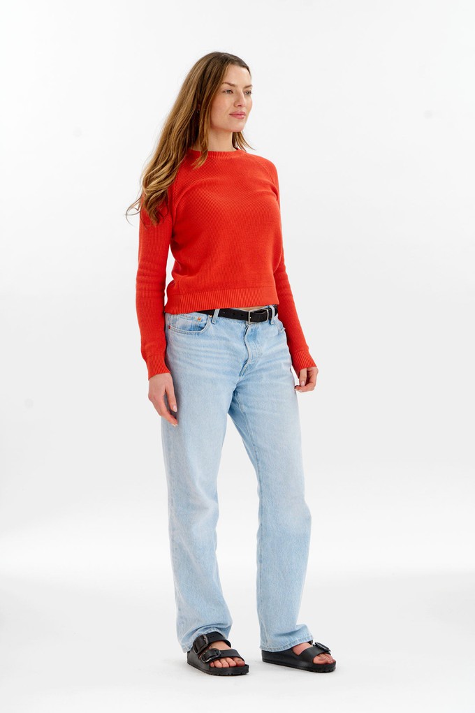 FOG Organic Cotton Jumper - Red from KOMODO
