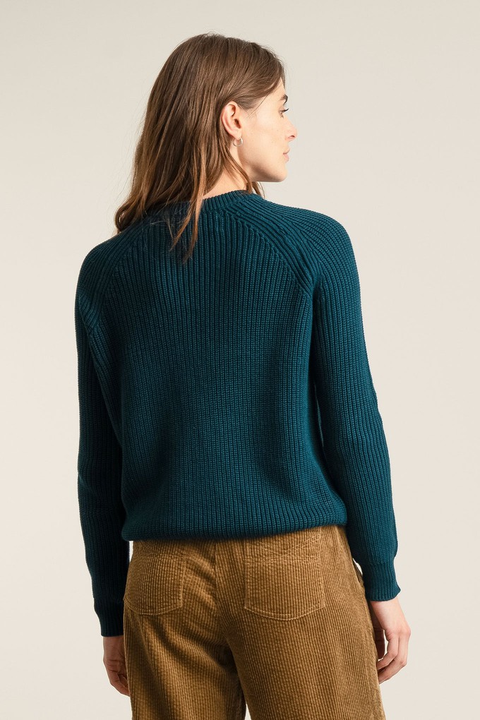 SERGIO - Womens Organic Cotton Jumper Teal from KOMODO