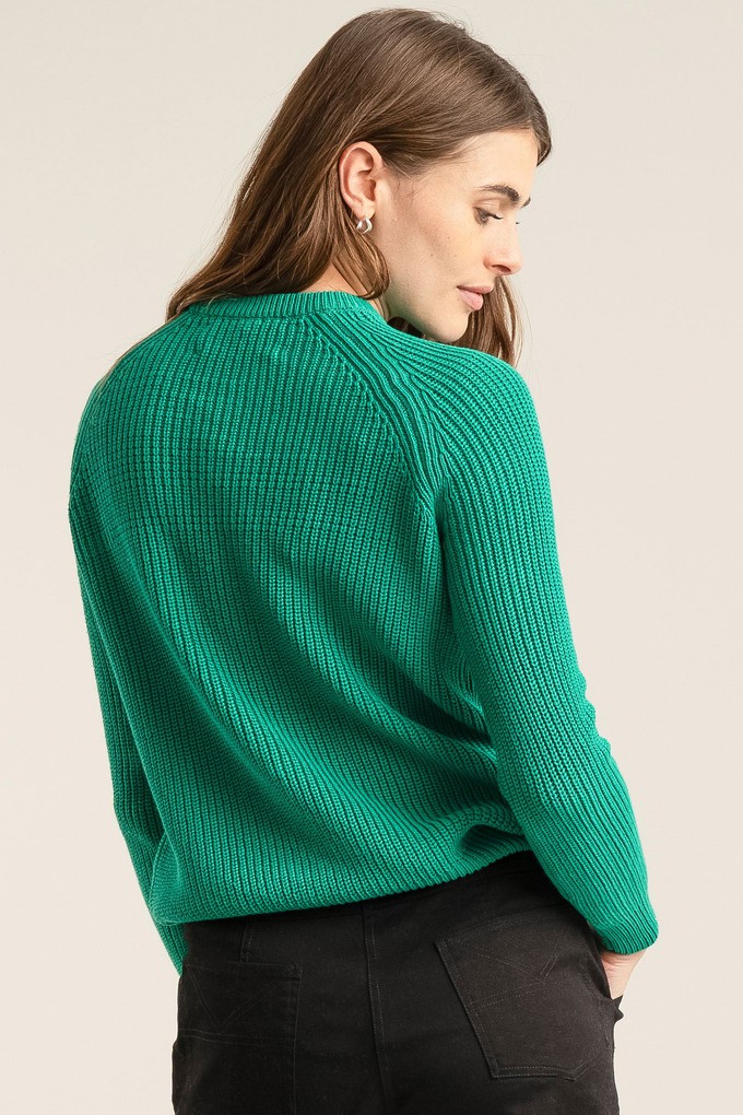 SERGIO - Womens Organic Cotton Jumper Green from KOMODO