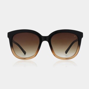 BILLY - Black/Brown Transparent Sunglasses by A.Kjaerbede from KOMODO