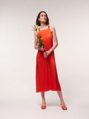 silk dress from LANIUS