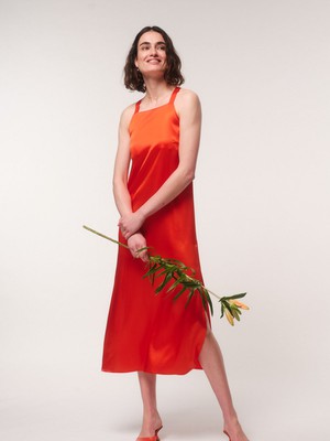silk dress from LANIUS