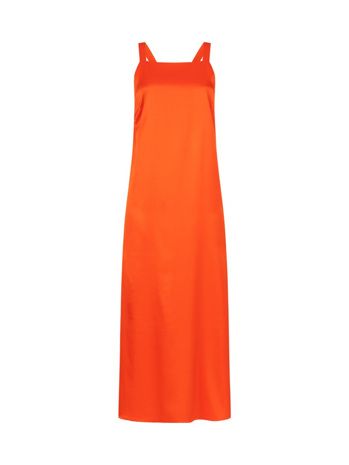 silk dress from LANIUS