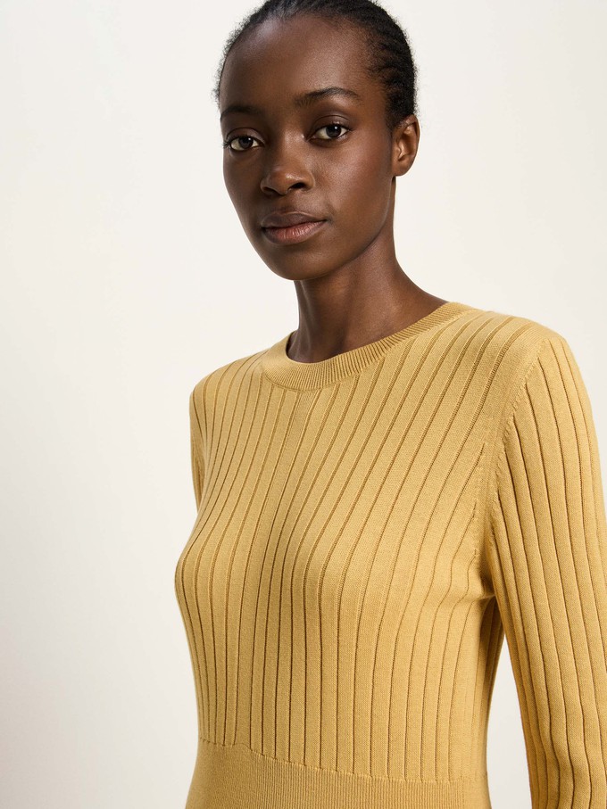 Knitted dress (GOTS) from LANIUS