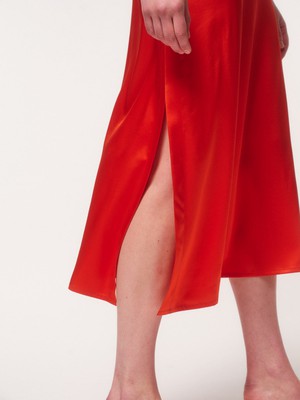 silk dress from LANIUS