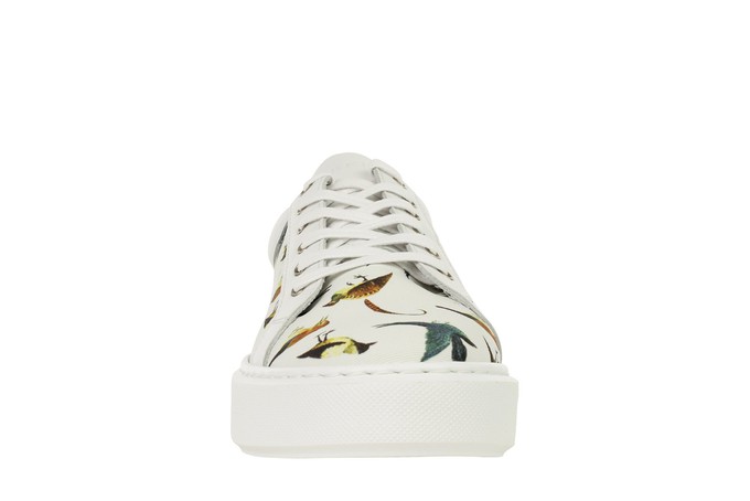 Falco sneaker birds Jheronimus Bosch from LINKKENS