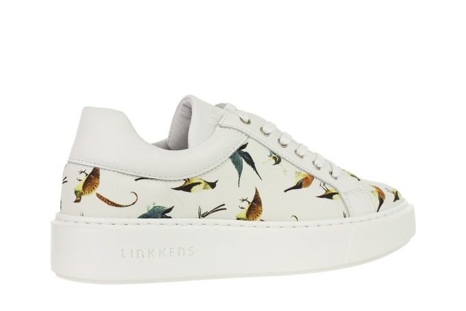 Falco sneaker birds Jheronimus Bosch from LINKKENS