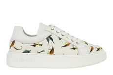 Falco sneaker birds Jheronimus Bosch via LINKKENS
