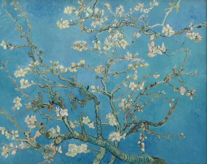 Kara sneaker Amandel bloesem Vincent van Gogh from LINKKENS