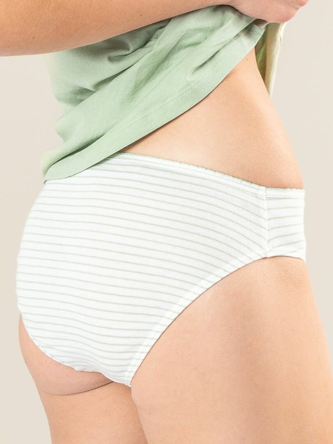 Dames slips 100% katoen Rylie 2-pack - ambrosia wit from Lotika