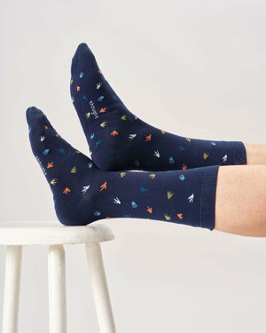 Thought sokken heren 3-pack - dinosaurus from Lotika