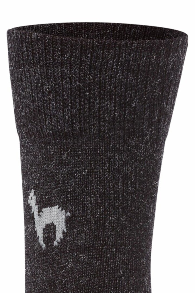 Apu Kuntur wollen alpaca sokken effen antraciet from Lotika