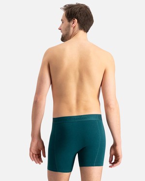 Bamboo Basics bamboe boxershorts Rico 3-pack - zwart petrol groen from Lotika