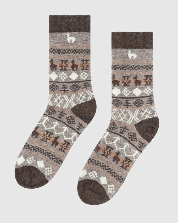 Apu Kuntur wollen alpaca sokken Camino - stone mokka from Lotika