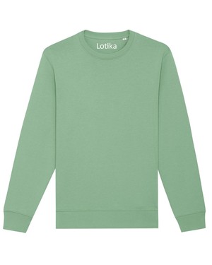 Charlie sweater dusty mint - maat S from Lotika