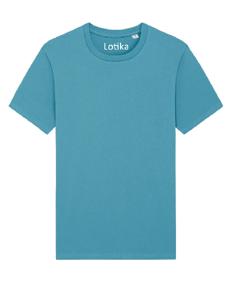 Daan T-shirt biologisch katoen atlantic blue - from Lotika