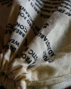 Swole Panda gevlochten riem - beige blauw from Lotika