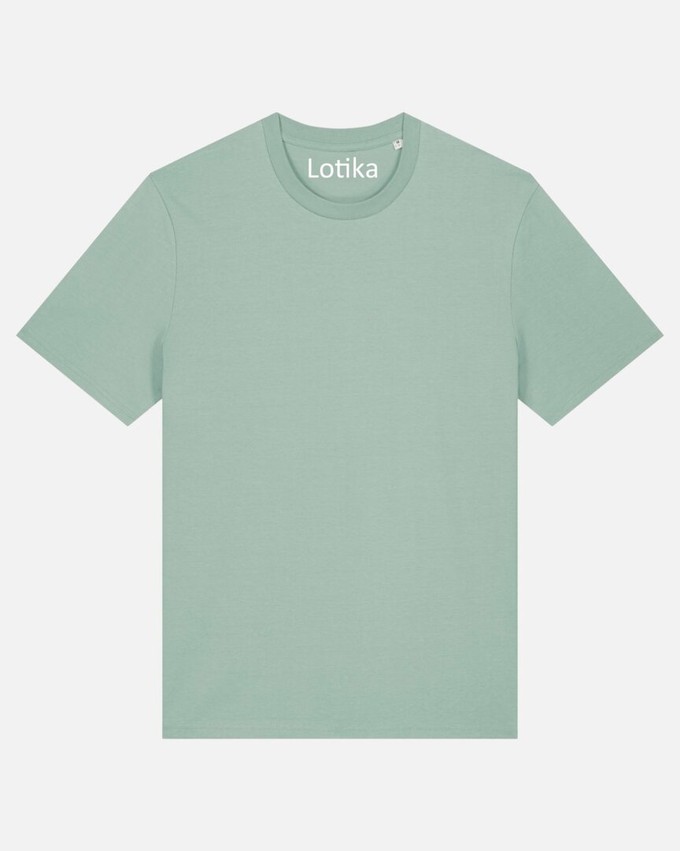 Juul T-shirt biologisch katoen - aloe maat XL from Lotika Juul T-shirt biologisch katoen - aloe maat XL from Lotika