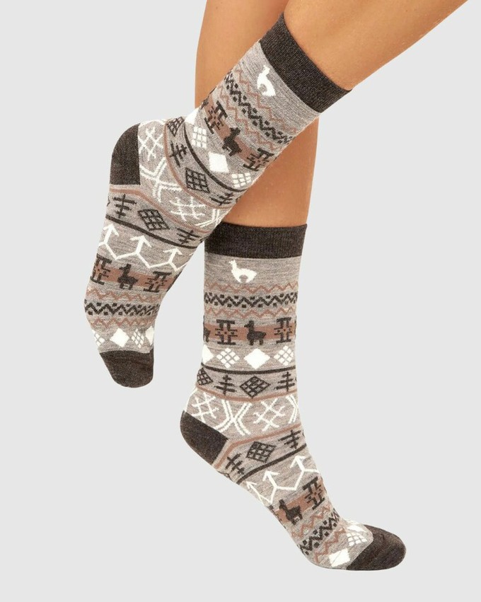 Apu Kuntur wollen alpaca sokken Camino - stone mokka from Lotika