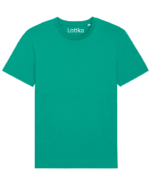 Daan T-shirt biologisch katoen go green from Lotika