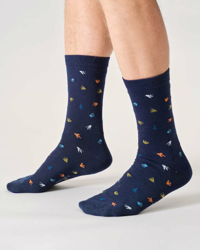 Thought sokken heren 3-pack - dinosaurus from Lotika